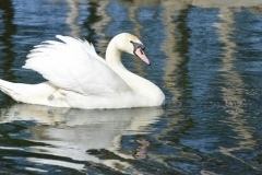thumbs_DSC_2539