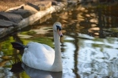 thumbs_DSC_3112