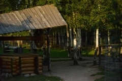thumbs_DSC_5242
